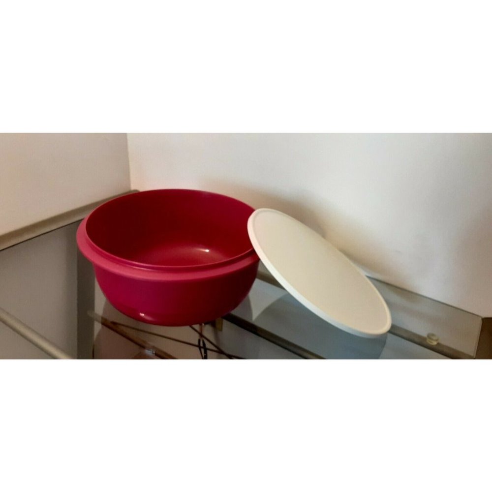 TUPPERWARE BOWL 40 CUPS